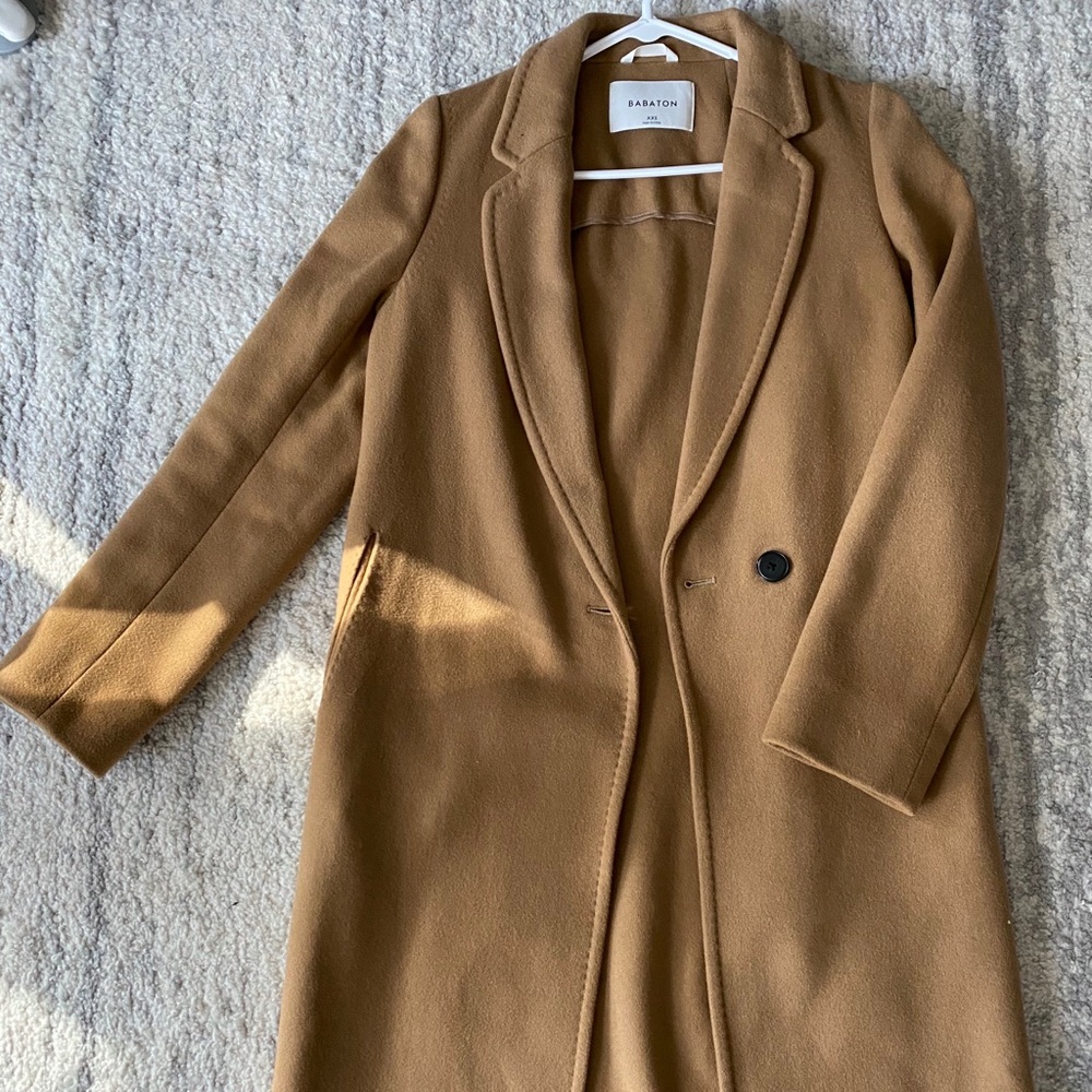ARITZIA Babaton Stedman Coat